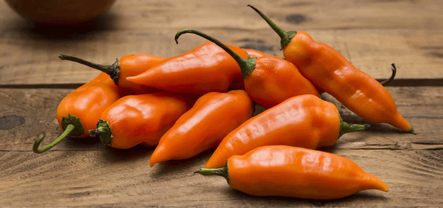 Peruvian Aji Peppers