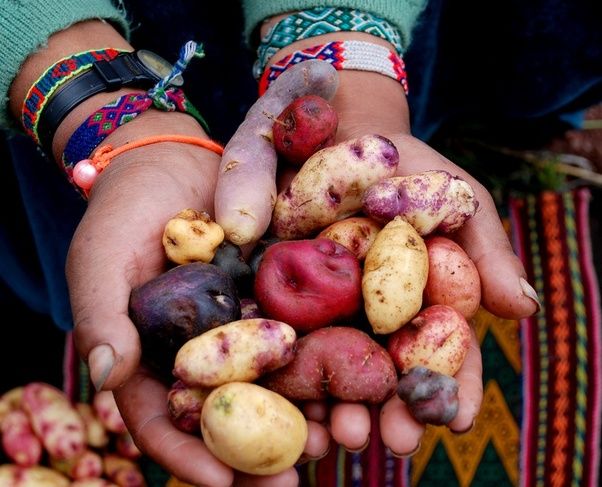 The Cultural Meaning of Sharing a Table in Peru (Peruvian Food Culture)