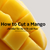 How to Cut a Mango & What This Has to Do With Peru- Brasa Peruvian Kitchen